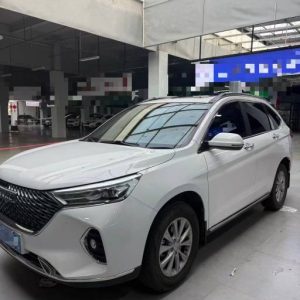 Haval H6 Haval M6 1.5L 105HP 2WD 2022