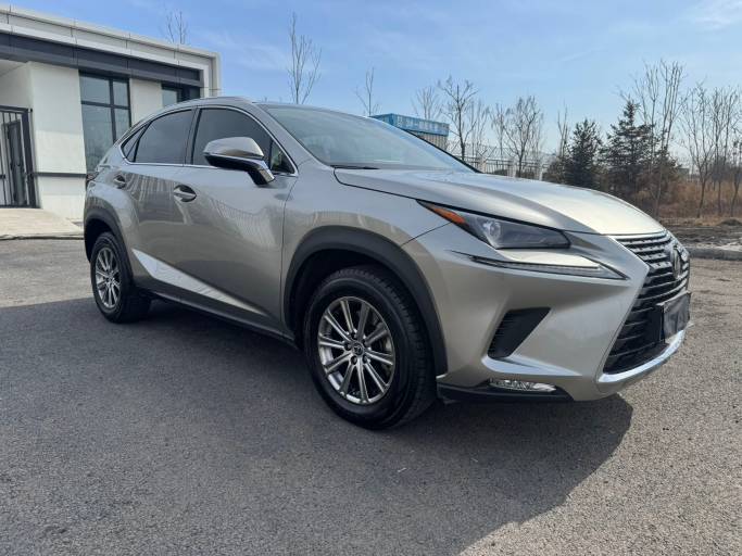 Lexus NX200 Trendy Edition 2.0L 150HP 4WD 2021 — изображение 4