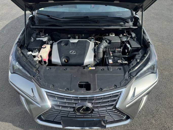 Lexus NX200 Trendy Edition 2.0L 150HP 4WD 2021 — изображение 10