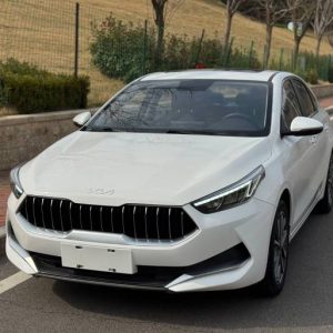 Kia K3 1.5L 115HP 2WD 2021 | Белый | Арт. CA8032