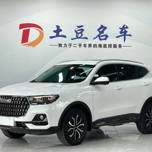 Haval H6 1.5L 143HP 2WD 2023 | Белый | Арт. CA8089