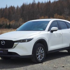 Mazda CX-5 2.0L 155HP 2WD 2022 | Белый | Арт. CA7980