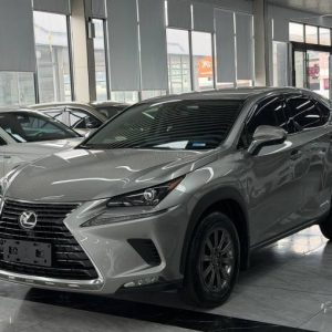 Lexus NX 2.0L 150HP 2WD 2020 | Пепел | Арт. CA7917