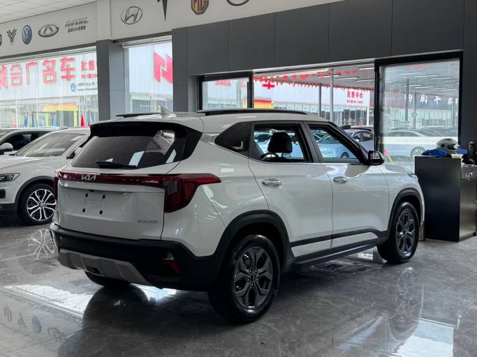 Kia Setus 2023 1. 5L CVT Luxury Edition | Арт. CN-10898 — изображение 14