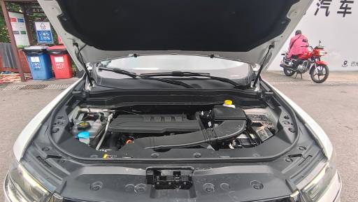 Haval H6 23 Haval H6 Guochao Urban Edition | Арт. CN-11052 — изображение 9