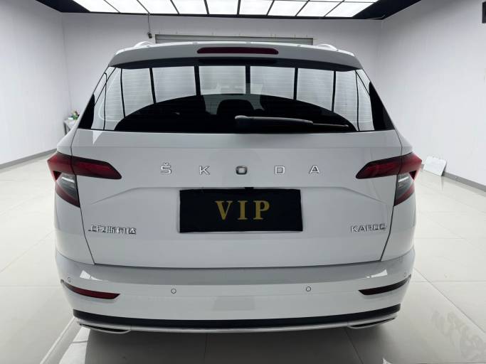 Skoda Karoq 2023 TSI280 Premium Edition | Арт. CN-11409 — изображение 21