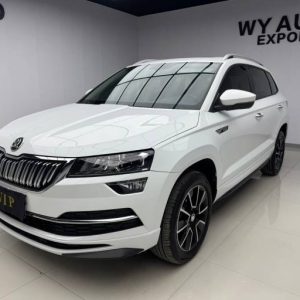 Skoda Karoq 2023 TSI280 Premium Edition | Арт. CN-11409
