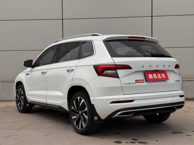 Skoda Karoq 2024 TSI280 Luxurious Enjoyment Edition | Арт. CN-11357 — изображение 8