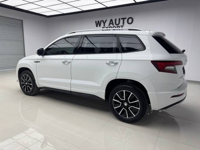 Skoda Karoq 2023 TSI280 Premium Edition | Арт. CN-11409 — изображение 10
