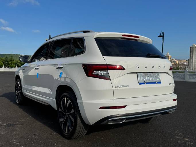 Skoda Karoq 2022 TSI280 Luxurious Enjoyment Edition | Арт. CN-11172 — изображение 6