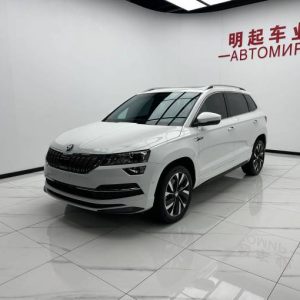 Skoda Karoq 2023 TSI280 Luxurious Enjoyment Edition | Арт. CN-11132