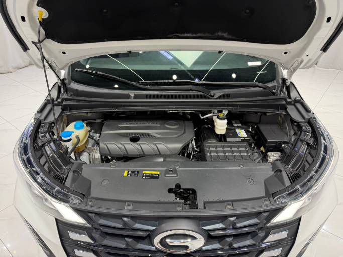 GAC Trumpchi M6 2021 PRO 270T DCT Auto Luxury Edition | Арт. CN-11666 — изображение 17