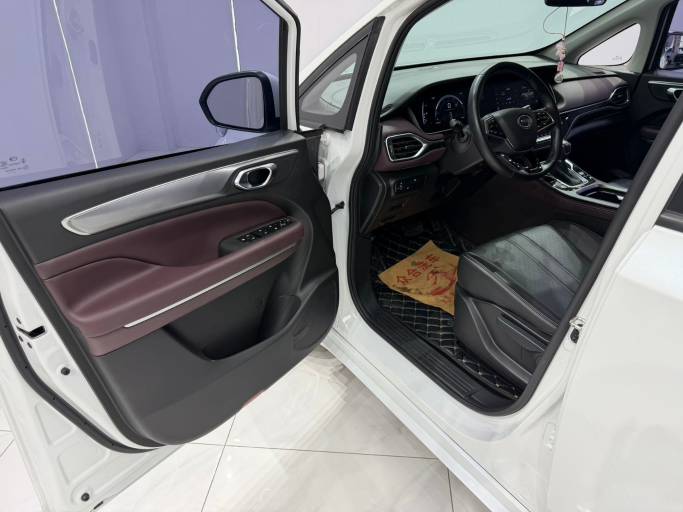 GAC Trumpchi M6 2021 PRO 270T DCT Auto Luxury Edition | Арт. CN-11664 — изображение 6