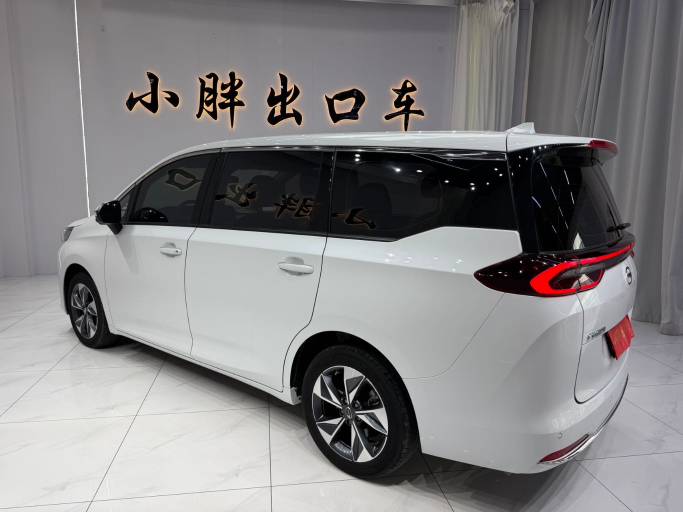 GAC Trumpchi M6 2021 PRO 270T DCT Premium Edition | Арт. CN-11661 — изображение 6
