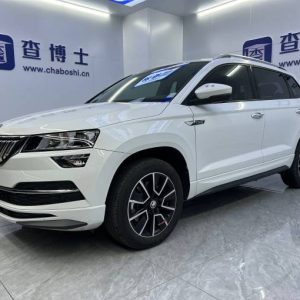 Skoda Karoq 2023 280TSI Premium Edition | Арт. CN-10968