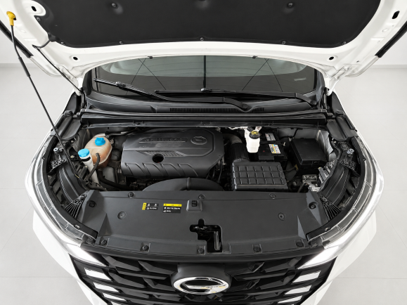 GAC Trumpchi M6 2021 1. 5T 2021 Luxury Edition | Арт. CN-11676 — изображение 12