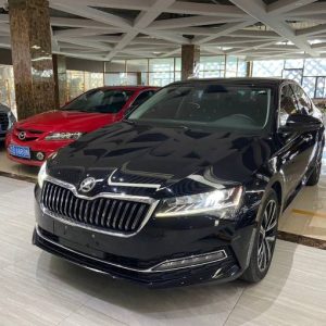 Skoda Superb 23 Skoda Express Modifications TSI280 DSG Premium Edition | Арт. CN-11628