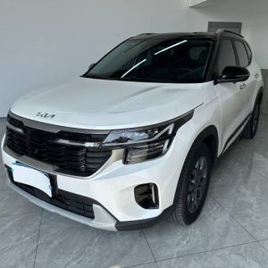 Kia Setus 2023 Kia Setus CVT Luxury Edition | Арт. CN-11297