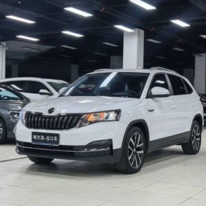 Skoda Kamiq 23 Modified 1. 5L Automatic Comfort Enjoyment Edition | Арт. CN-11577