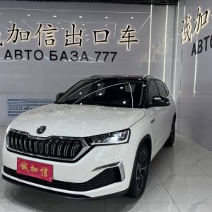 Skoda Kamiq 2021 Money Kamiq GT TSI230 DSG Flagship Edition | Арт. CN-11190
