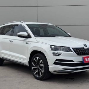 Skoda Karoq 2024 TSI280 Luxurious Enjoyment Edition | Арт. CN-11357