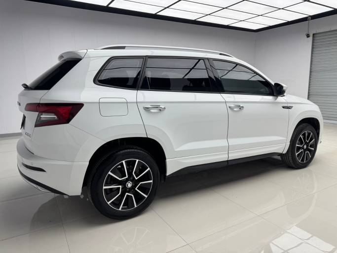 Skoda Karoq 2023 TSI280 Premium Edition | Арт. CN-11409 — изображение 4