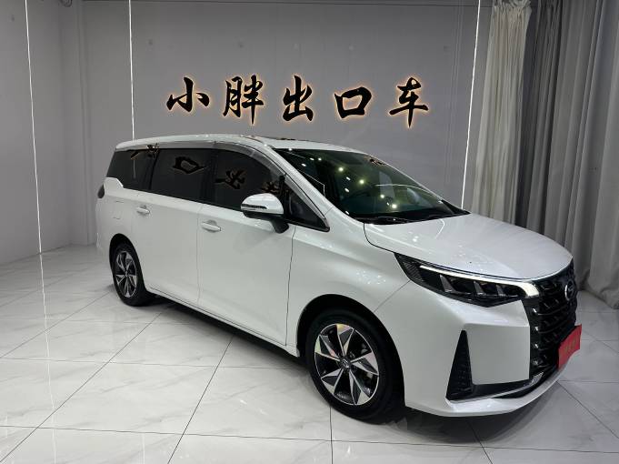 GAC Trumpchi M6 M6 | Арт. CN-11655 — изображение 5