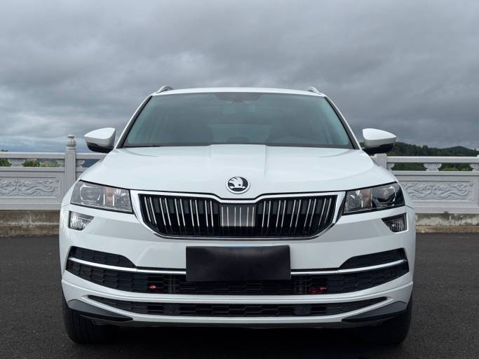 Skoda Karoq 2023 TSI280 Zhiyao version | Арт. CN-11070 — изображение 2