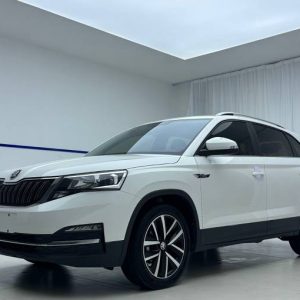 Skoda Kamiq 2022 1. 5L Automatic Comfort Enjoyment Edition | Арт. CN-11610