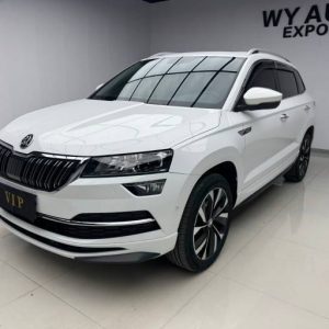 Skoda Karoq 2023 TSI280 Luxurious Enjoyment Edition | Арт. CN-11407