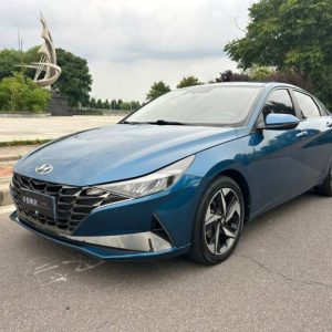 Hyundai Elantra 2022 1. 5L Automatic dignity | Арт. CN-11468