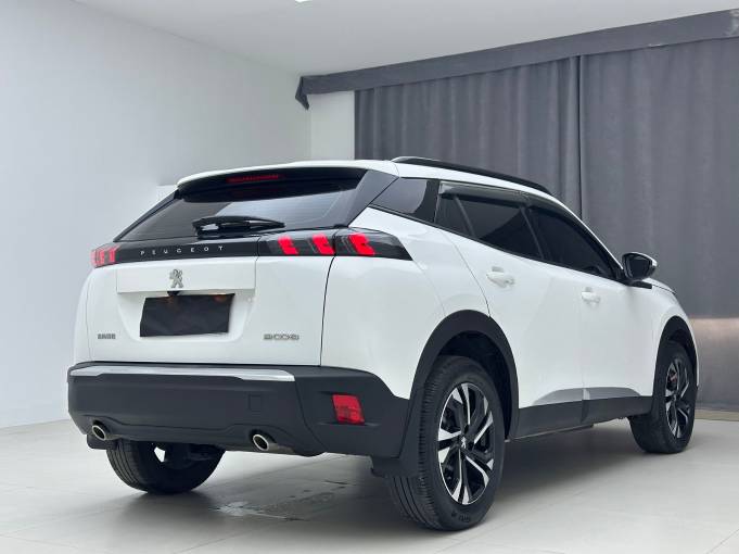 Dongfeng Peugeot 2008 22 230THP THE ONE | Арт. CN-11133 — изображение 6