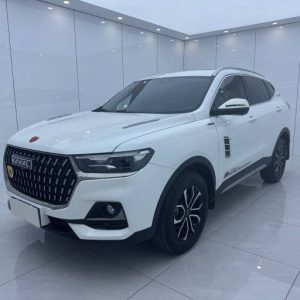 Haval H6 2023 Guochao Edition 1. 5T Auto Metro | Арт. CN-9093
