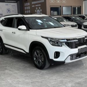 Kia Setus 2023 1. 5L CVT Luxury Edition | Арт. CN-10898
