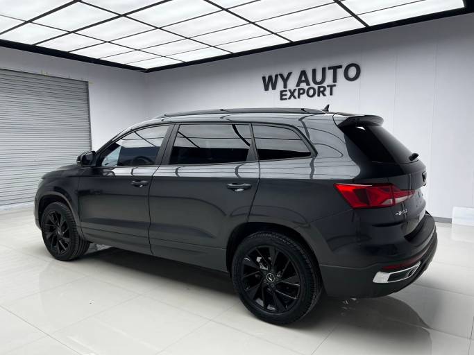 Volkswagen Jetta VS7 2021 HeiFeng Edition 1. 4T Automatic YueXiang Edition | Арт. CN-11355 — изображение 14