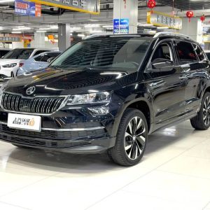Skoda Karoq 22 Kolok Luxury | Арт. CN-11448