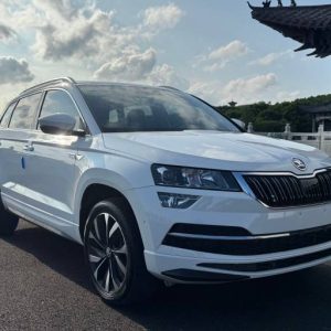 Skoda Karoq 2022 TSI280 Luxurious Enjoyment Edition | Арт. CN-11172