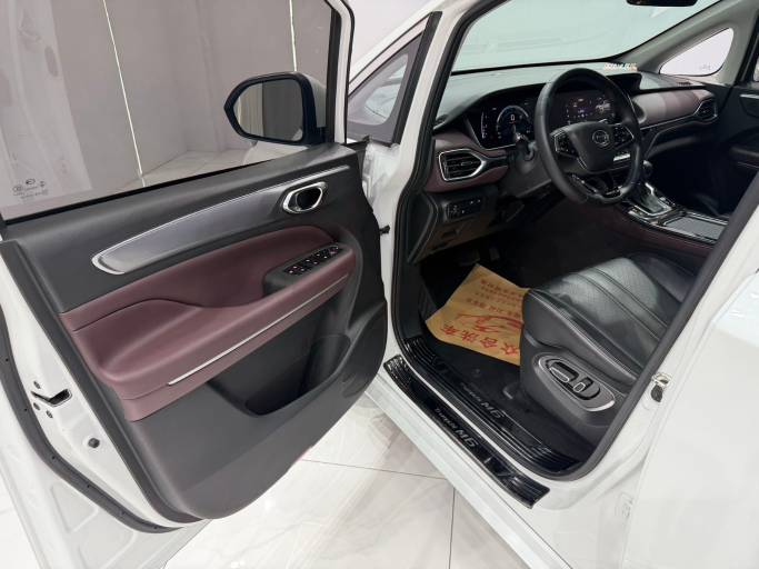 GAC Trumpchi M6 2021 PRO 270T DCT Premium Edition | Арт. CN-11661 — изображение 7