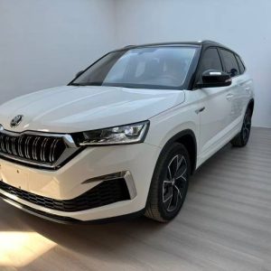 Skoda Kamiq 2021 GT TSI230 DSG Flagship Edition | Арт. CN-11597