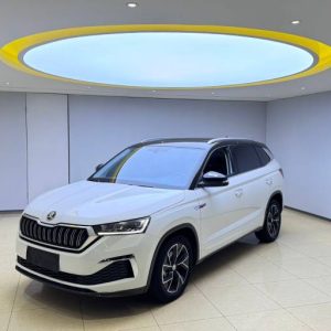 Skoda Kamiq 2023 1. 5LGT Auto Enjoyment Edition | Арт. CN-11592