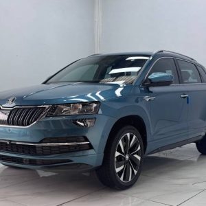 Skoda Karoq 2022 TSI280 Luxurious Enjoyment Edition | Арт. CN-10970